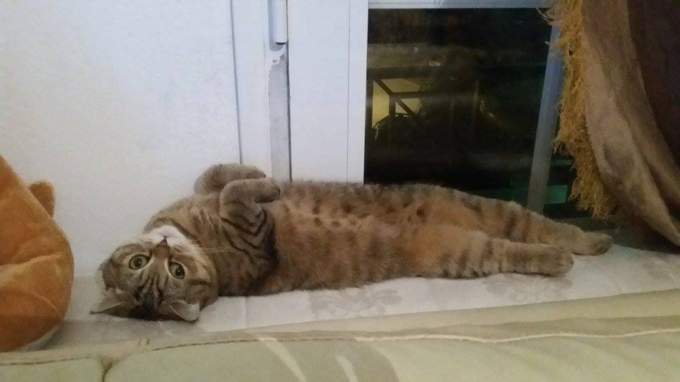 13077124 10208331492038950 384143491 n.jpg