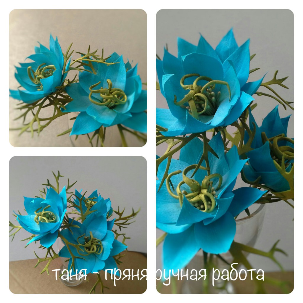 Fotor 14602679647985.jpg