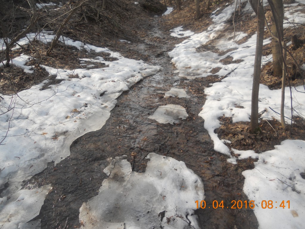 DSCN1125.JPG