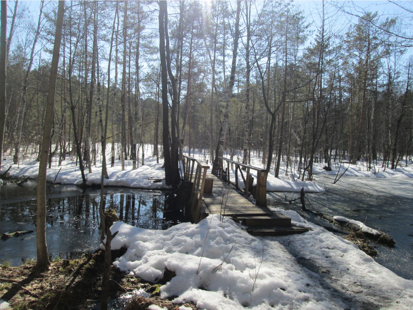 IMG 4183.JPG