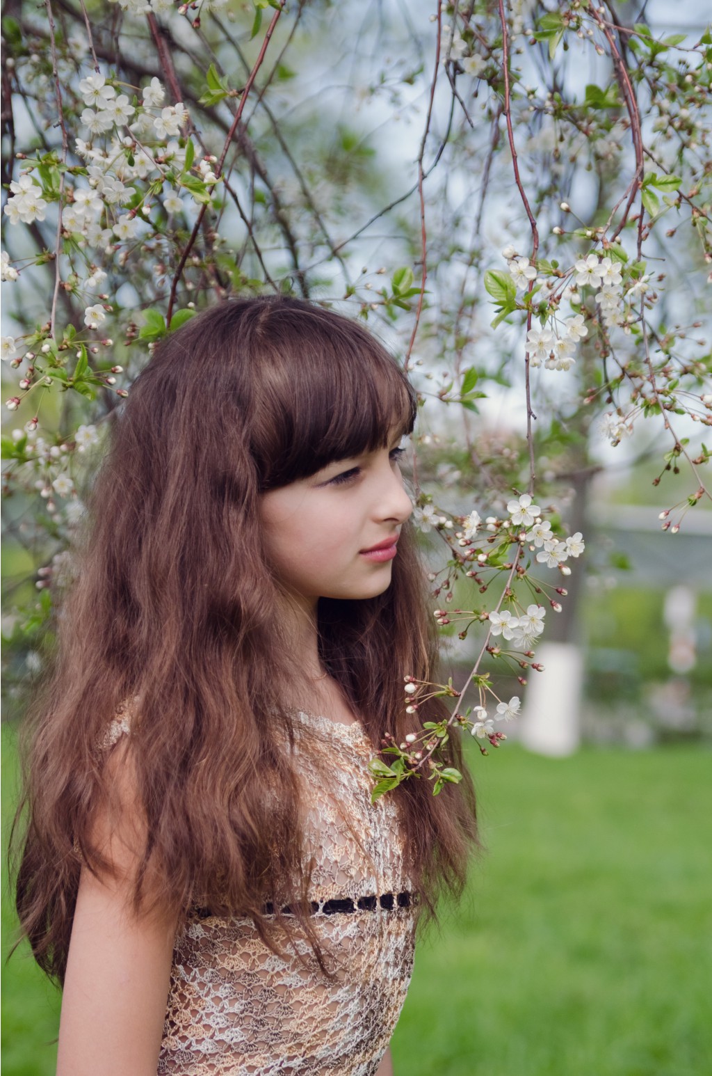 20120506 647.JPG