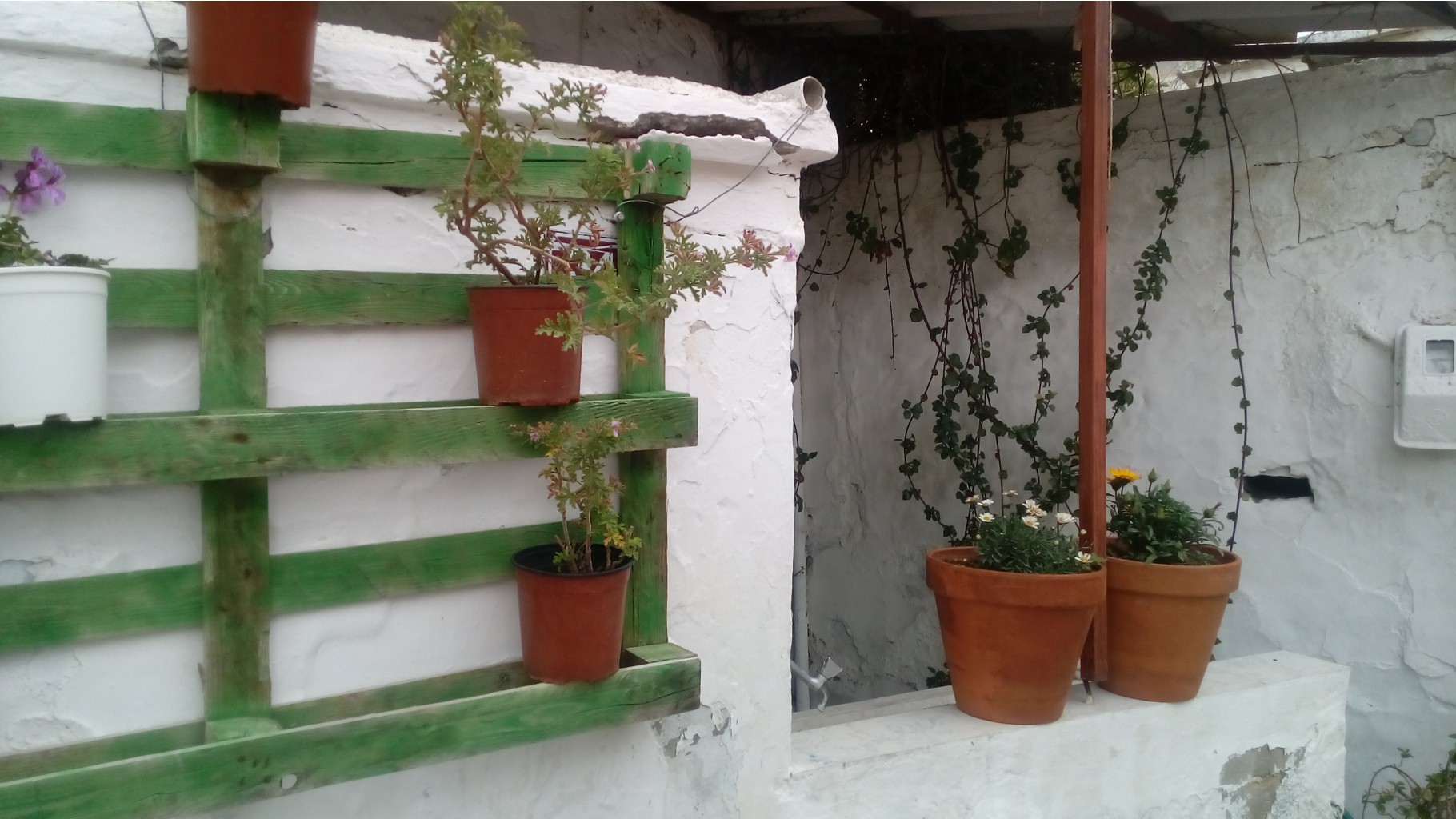 IMG 20160515 125331.jpg