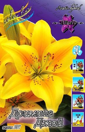 25,3.   ( 5 .   2  3 .).jpg