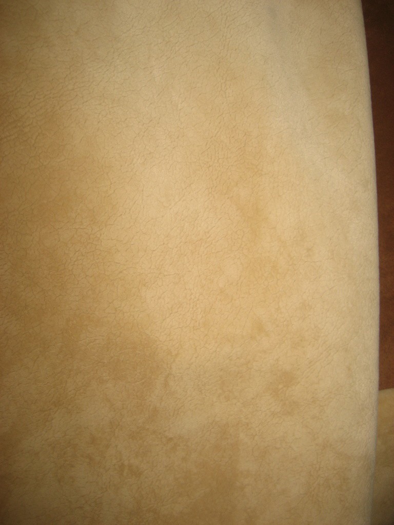 IMG 7308.JPG