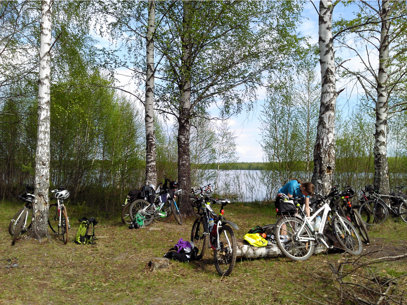 IMG 20160507 143555.jpg