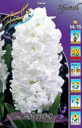 31,38.  ( 5 .   2  3 .).jpg