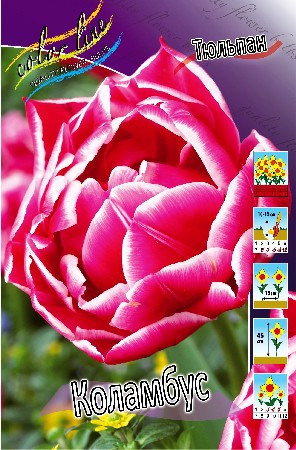 17,56.  ( 10 .   5.).jpg