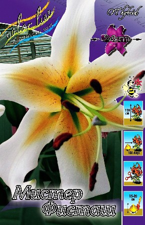 43,3.   (   5 .,   1.).jpg