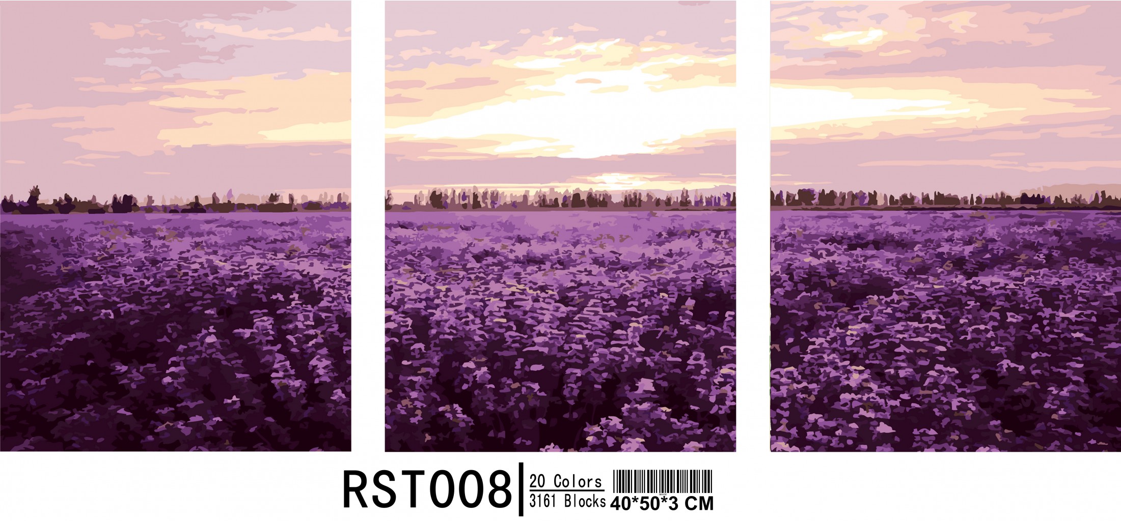 RST008.jpg
