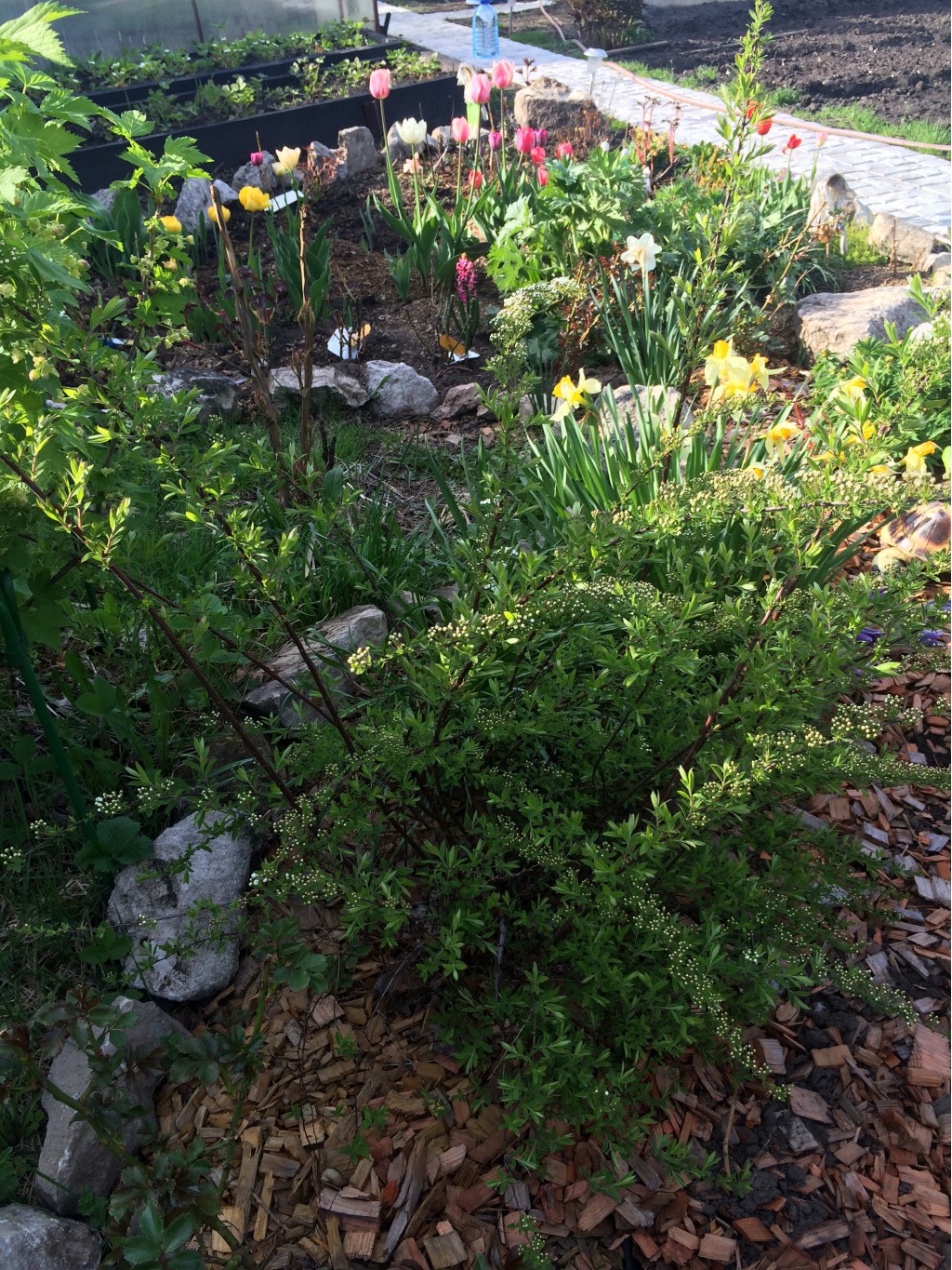 5739f63e23388 image.jpg