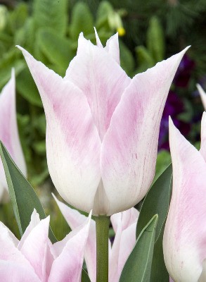 30,03.   ( 7 .   3  4 .)16.jpg