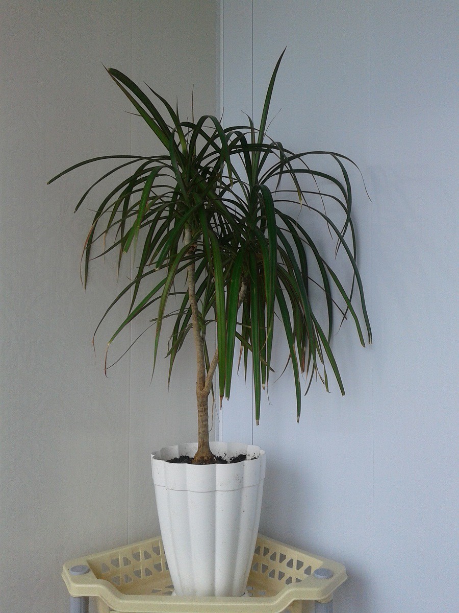 5725b794867d7 20160501094310.jpg