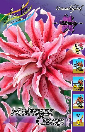 61,28.   (   5 .,   1.).jpg