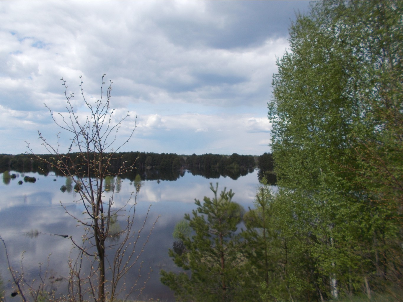 2016-05-07 12-17-30.jpg