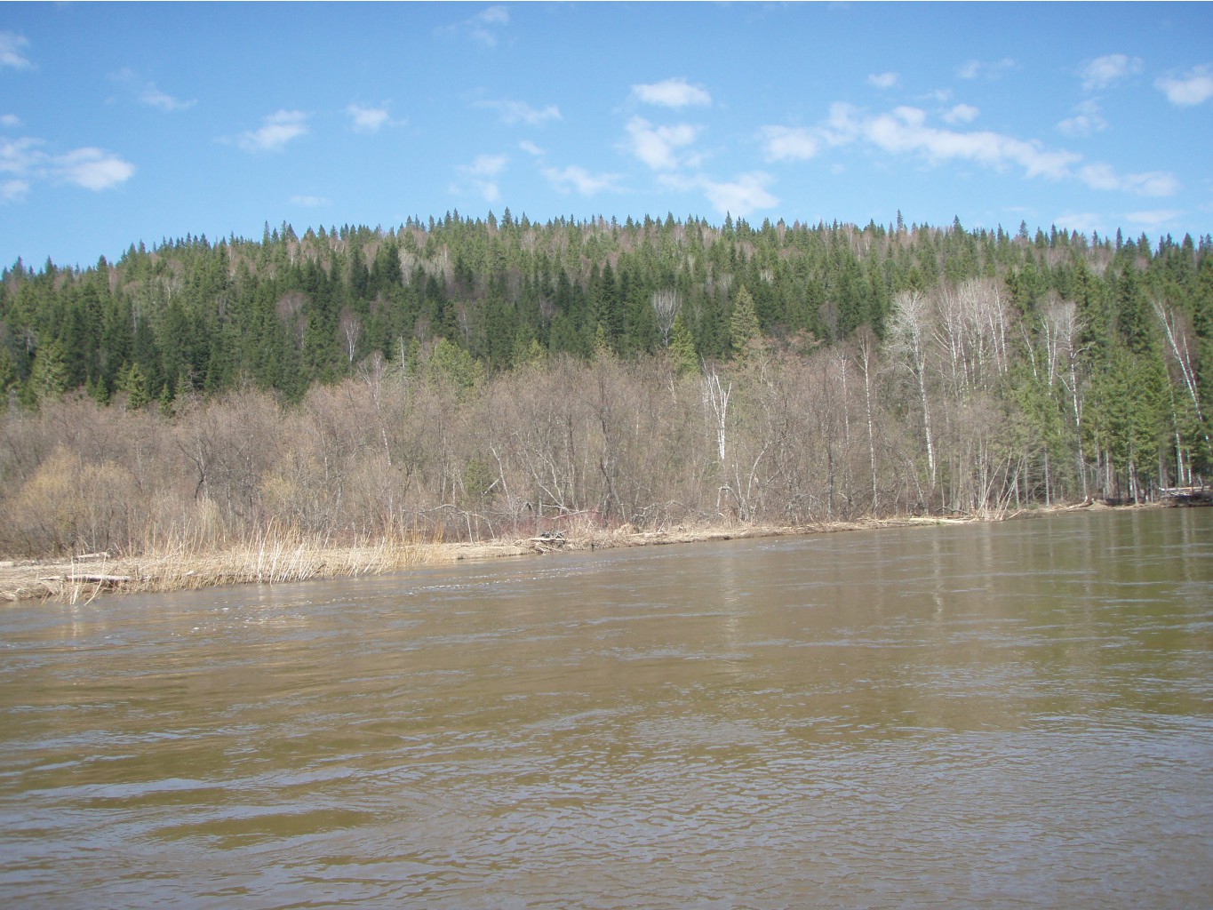 P1010022.JPG