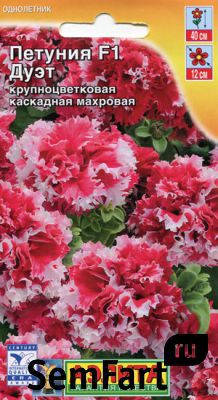 Петуния Дуэт F1