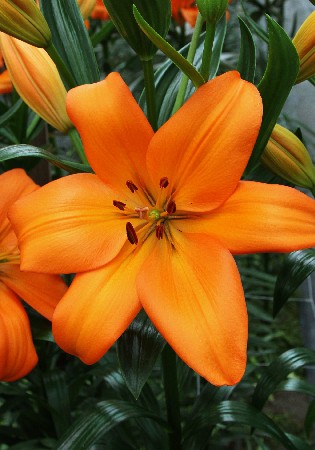 20,9.  ( 7 .   3  4 .).jpg