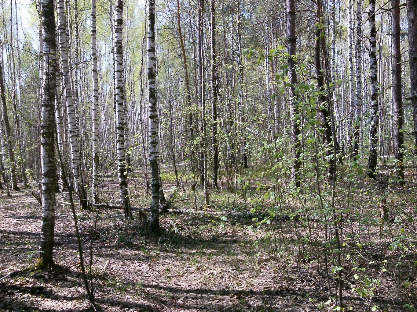 PTDC0258.JPG