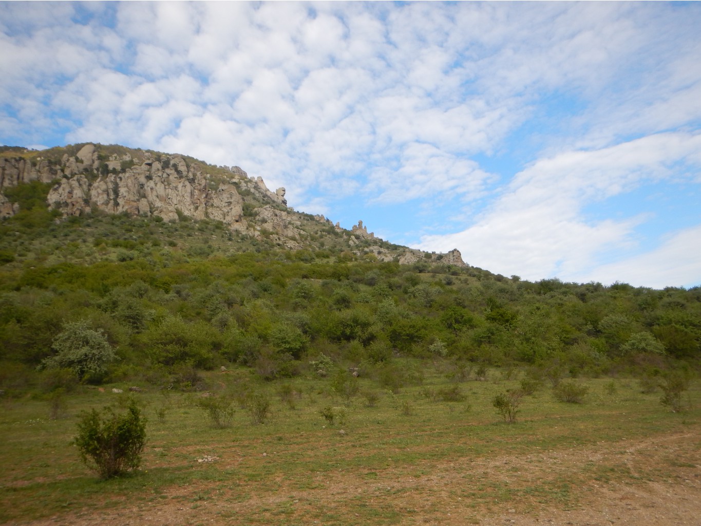 DSCN1198.JPG