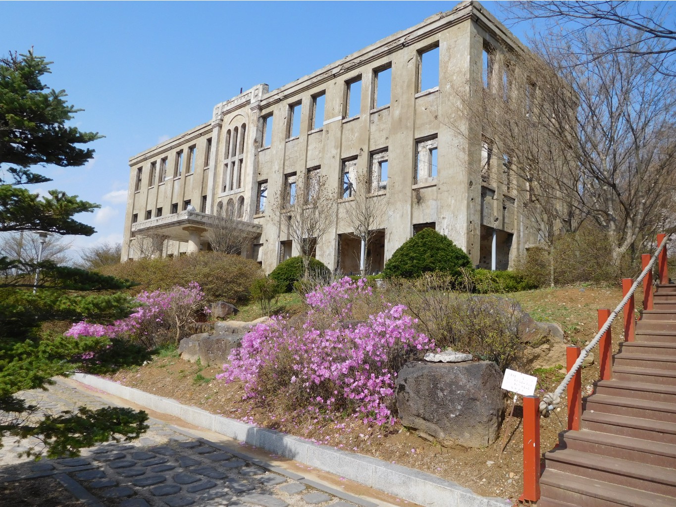 DSCN0596.JPG