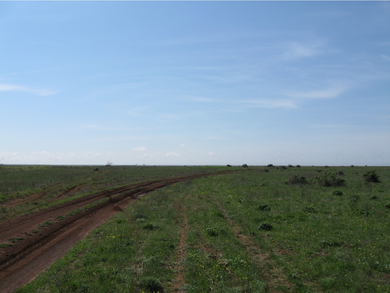 File0218.JPG