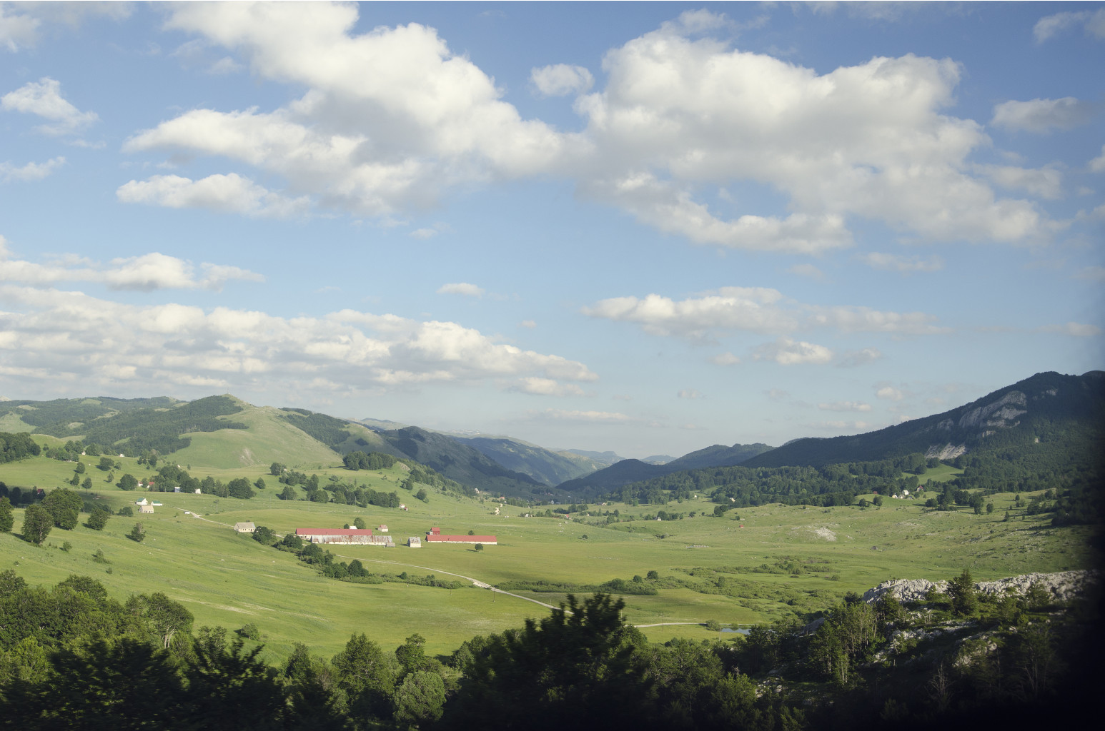 DSC 0777.jpg
