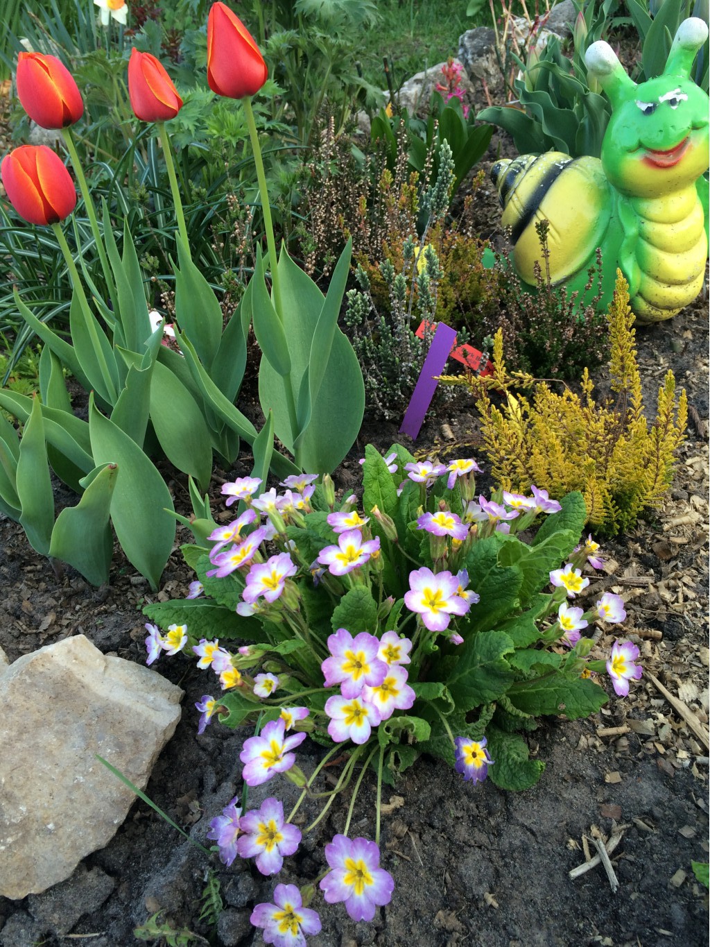 5732a1dc7f8ef image.jpg