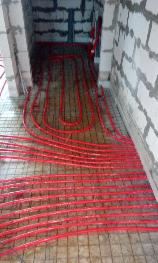 IMG 20160205 093047.jpg