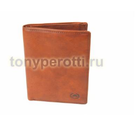 Tony Perotti Vintage 743408-3.png