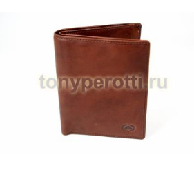 Tony Perotti Vintage 7434082.png