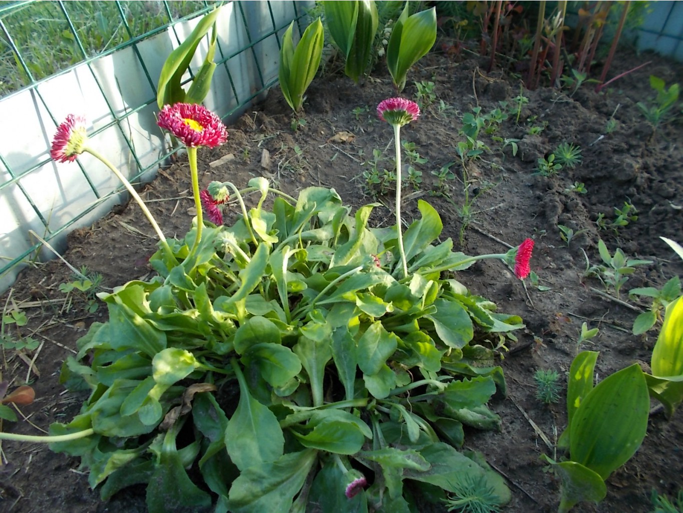 DSCN0315.jpg
