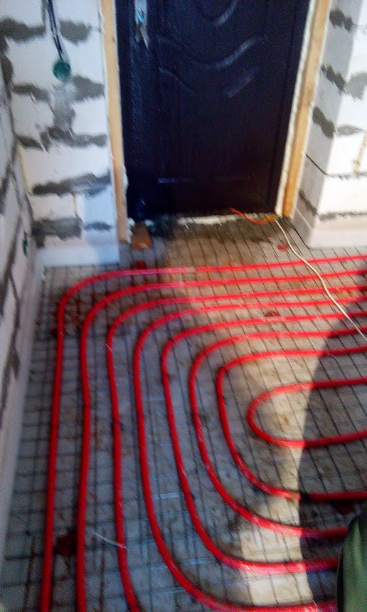 IMG 20160205 093117.jpg