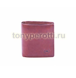 Tony Perotti Vintage 743395-3.png