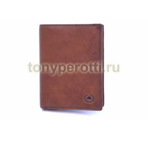 Tony Perotti Vintage 743397-3.png