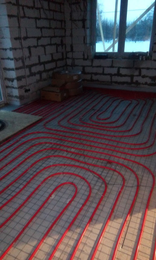 IMG 20160203 165340.jpg