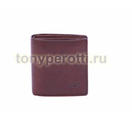 Tony Perotti Vintage 743395-2.png