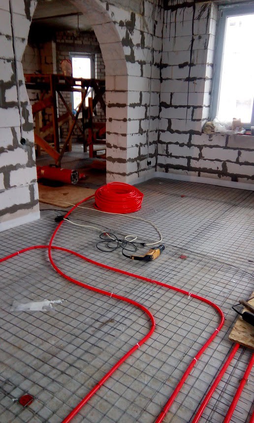 IMG 20160203 105338.jpg