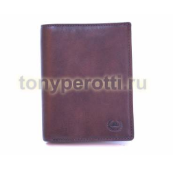 Tony Perotti Vintage 743397-2.png