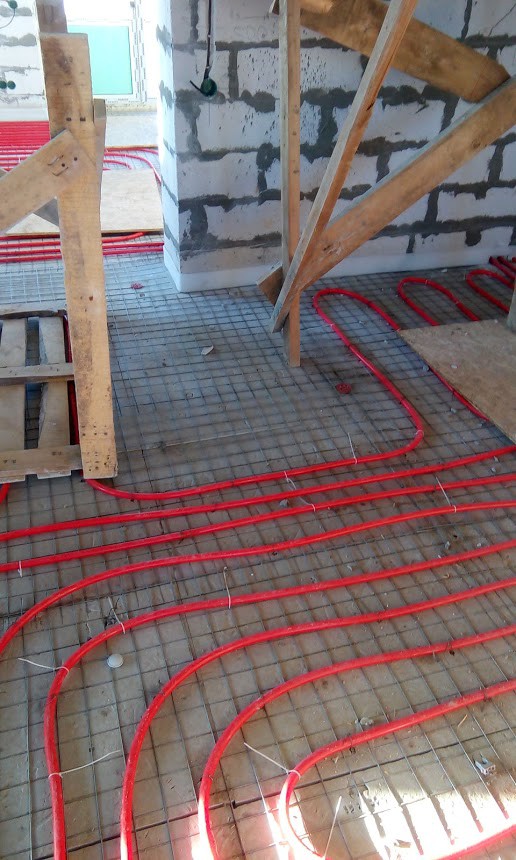 IMG 20160205 150635.jpg