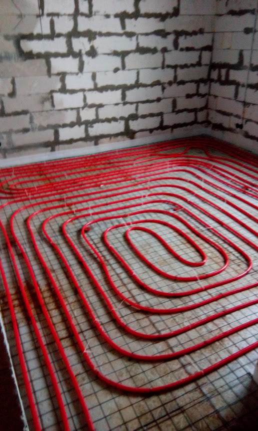 IMG 20160205 093029.jpg