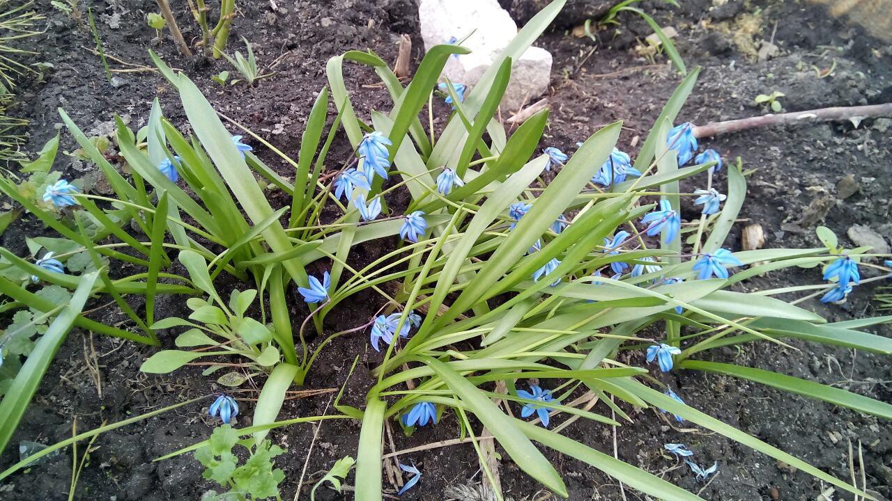 Ed12dcb305b0ee42f2414c17f8e177b1887feafe7caf513a2ff113543b975069 — .jpg