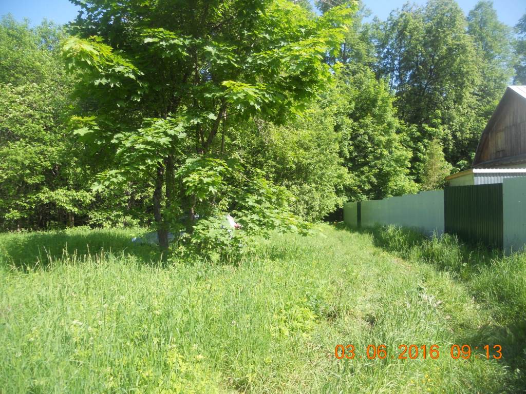 DSCN1287.JPG