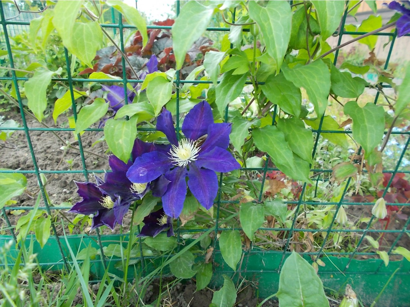 DSCN0362.jpg