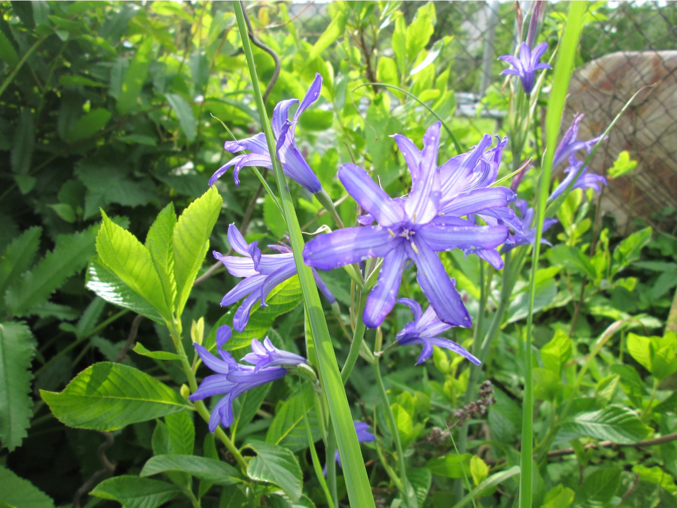 IMG 4407.JPG