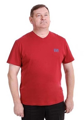 Футболка муж.107085 -цена 403.jpg