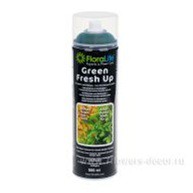 4000510005652   FLORALIFE Green Fresh Up 500   573,85.jpg