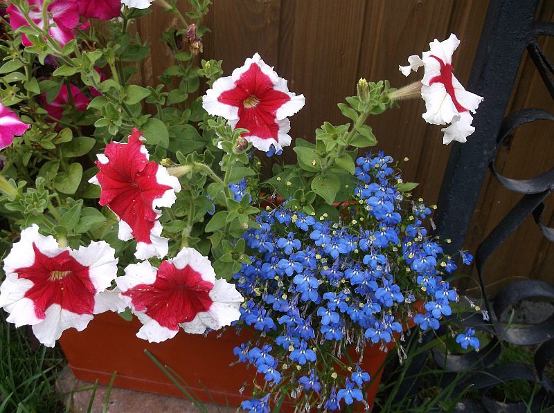 DSCF1908.JPG