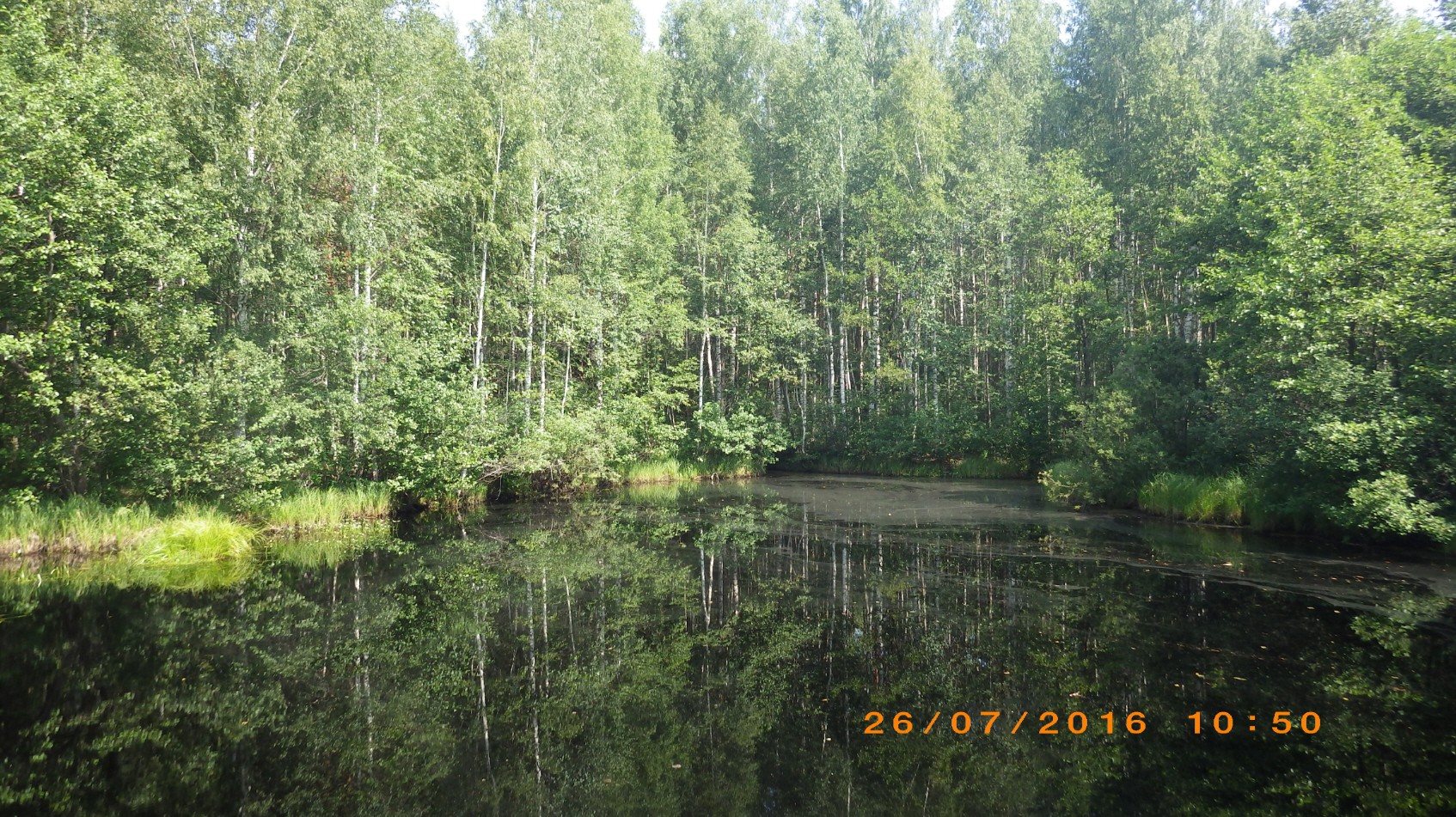 228.JPG