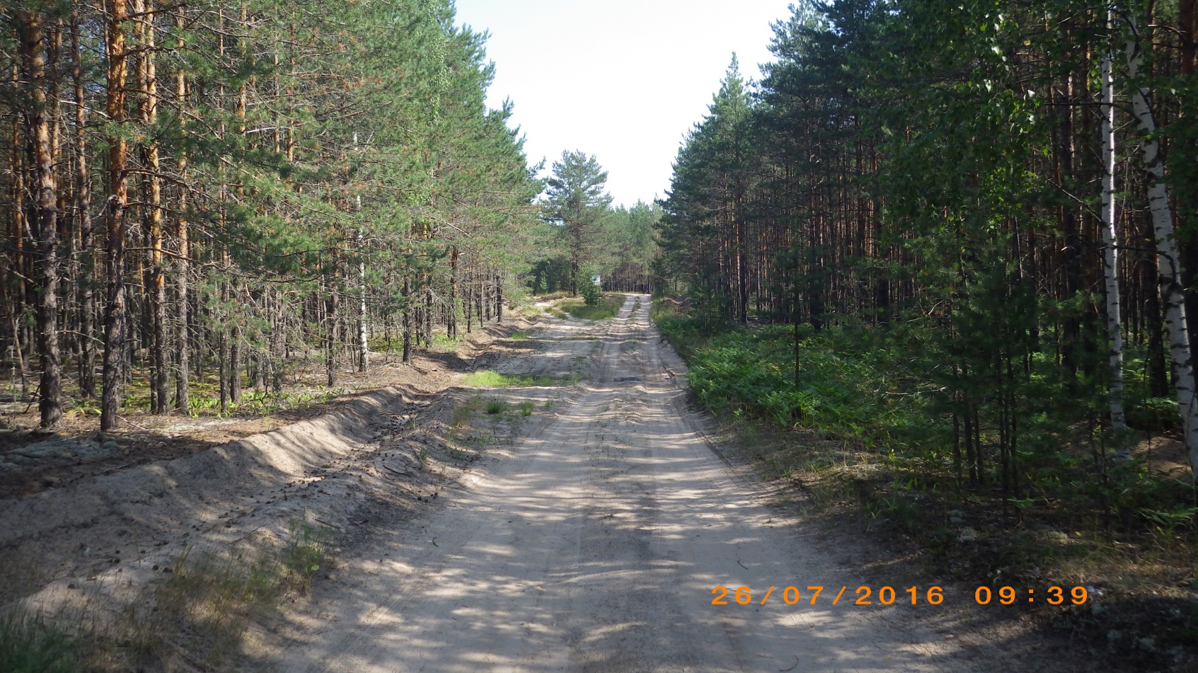217.JPG