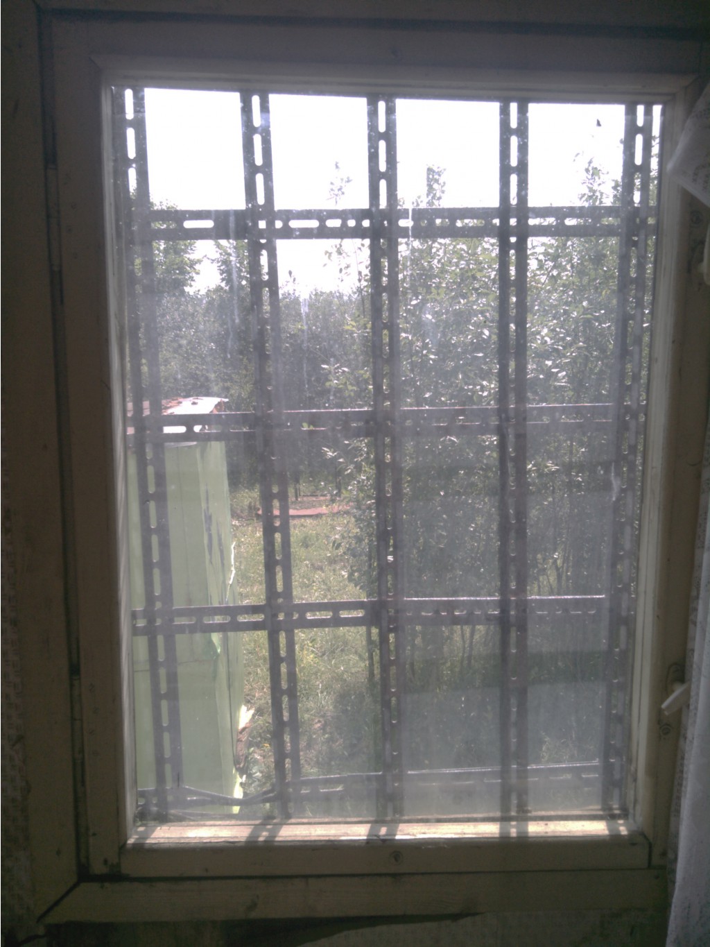 IMG 20160730 130723.jpg